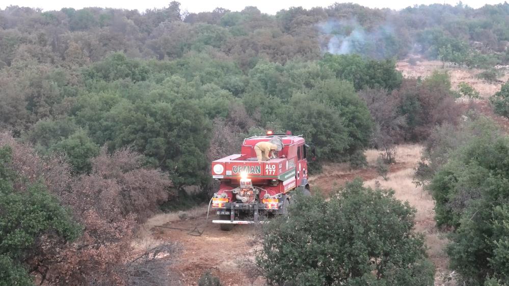 Besni'de Korkutan Orman Yangını Büyümeden Söndürüldü