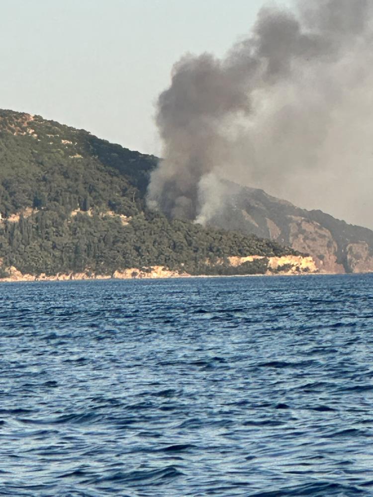 Büyükada Viranbağ Plajı'nda Korkutan Yangın!