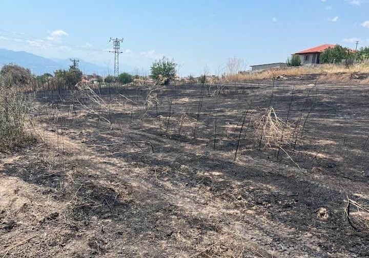 Sarıgöl'de Korkutan Yangın: Mahalleli ve İtfaiye El Ele Verdi!