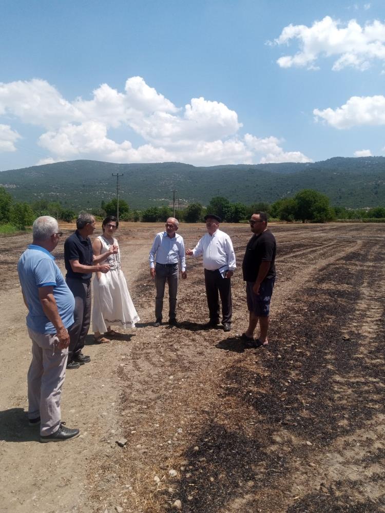 Menteşe'de 14 Ton Samanı Yanan Üreticiye Ziraat Odası'ndan Destek