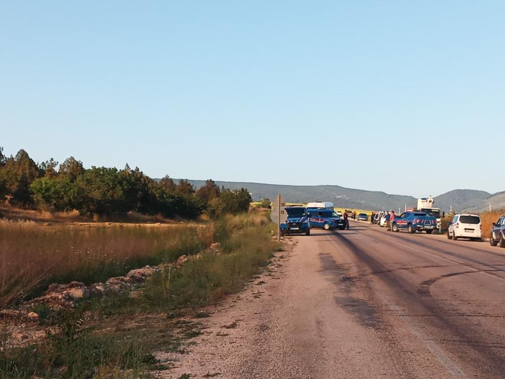 Bilecik'te Anız Yangını Ormana Sıçradı: Karayolu Kapatıldı!